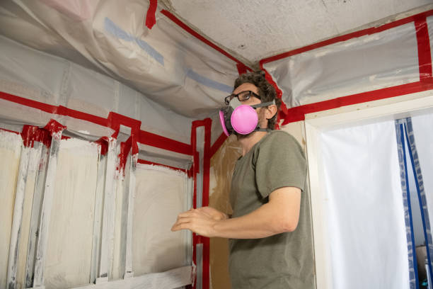 Trusted Justin, TX Mold Removal Experts