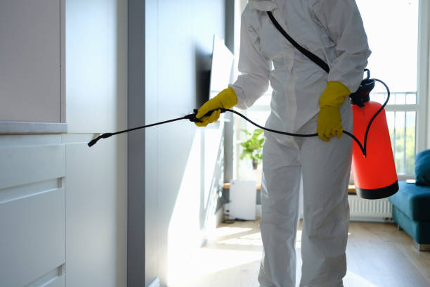 Environmental Consulting for Mold Prevention in Justin, TX